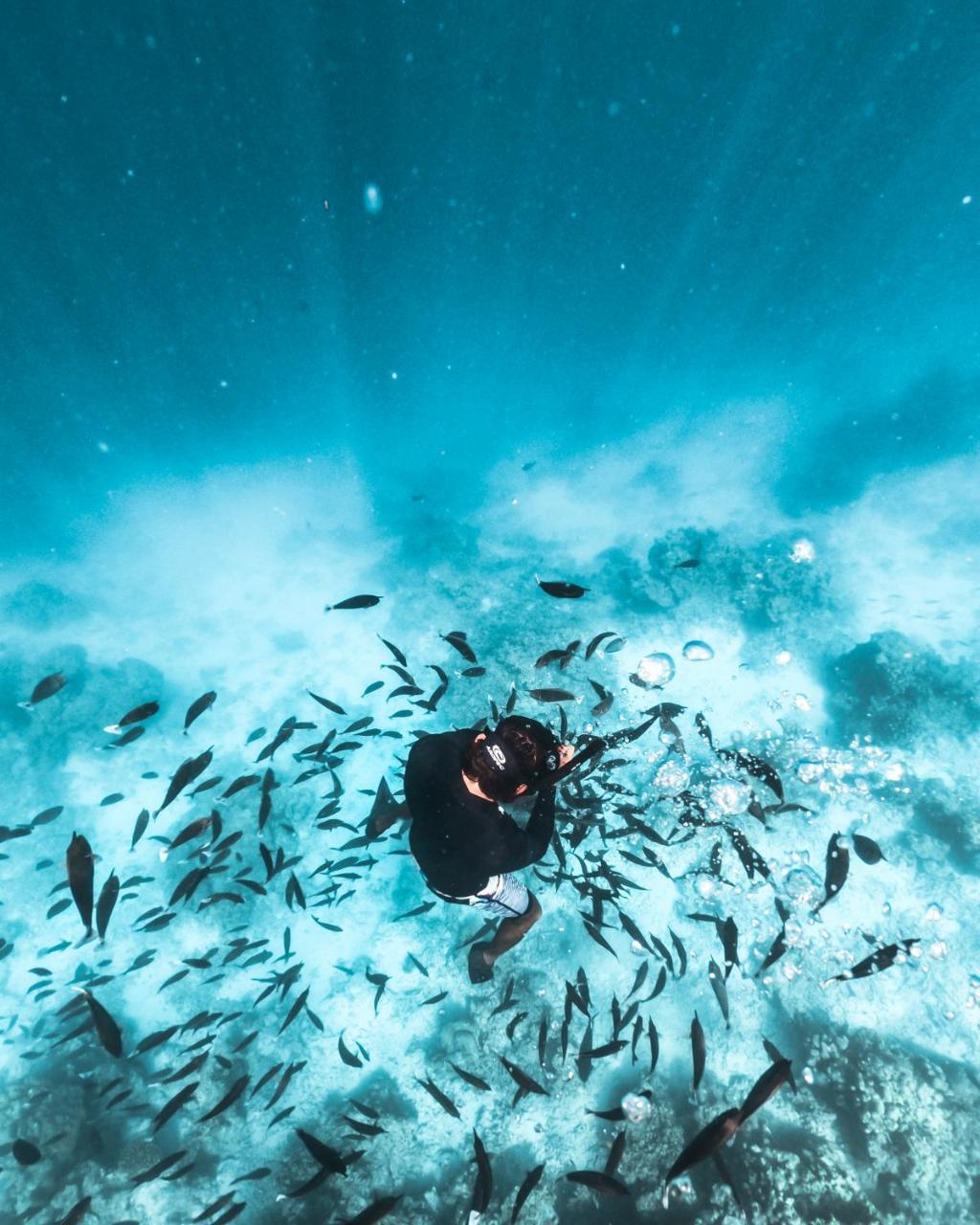 فندق راسريف راسدهو مالديف Rasdhoo المظهر الخارجي الصورة